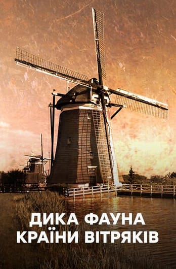 Дика фауна країни вітряків