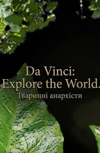 Da Vinci: Explore the World. Тваринні анархісти