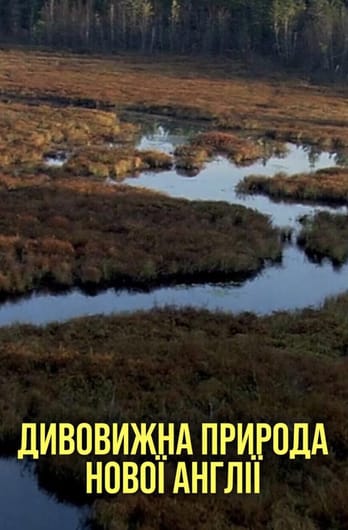 Дивовижна природа Нової Англії