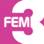 FEM3