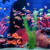 Aquarium 4K