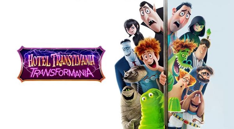 Hotel Transylwania 4