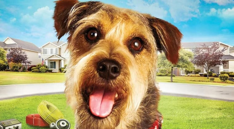 Robo-Dog