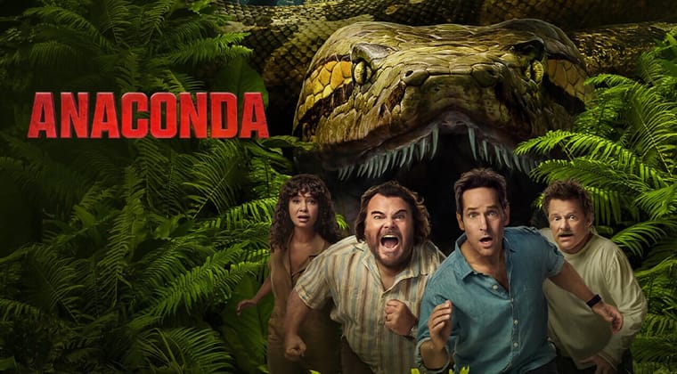 Anaconda