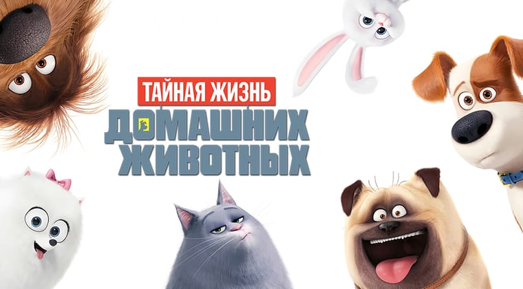 Тайная жизнь домашних животных