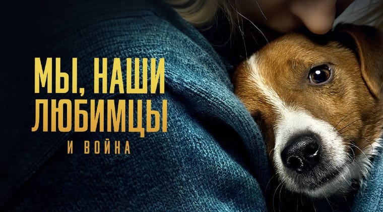 Мы, наши любимцы и война