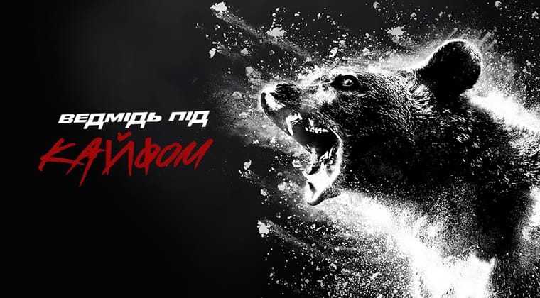 Ведмідь під кайфом